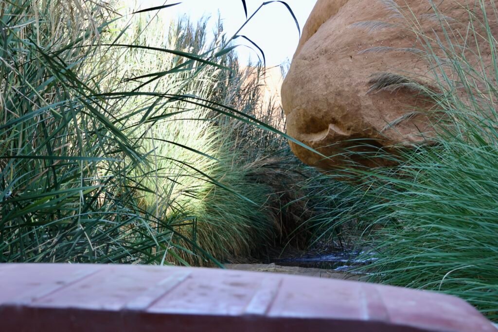 saoedi arabië 2025 11 06 (129)